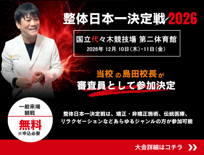 整体日本一決定戦