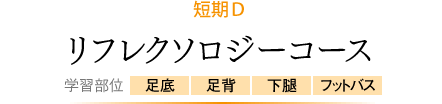 短期Ｄ リフレクソロジーコース