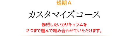 短期Ａ カスタマイズコース