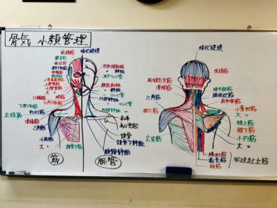 骨気 コルギ 骨気 コルギ